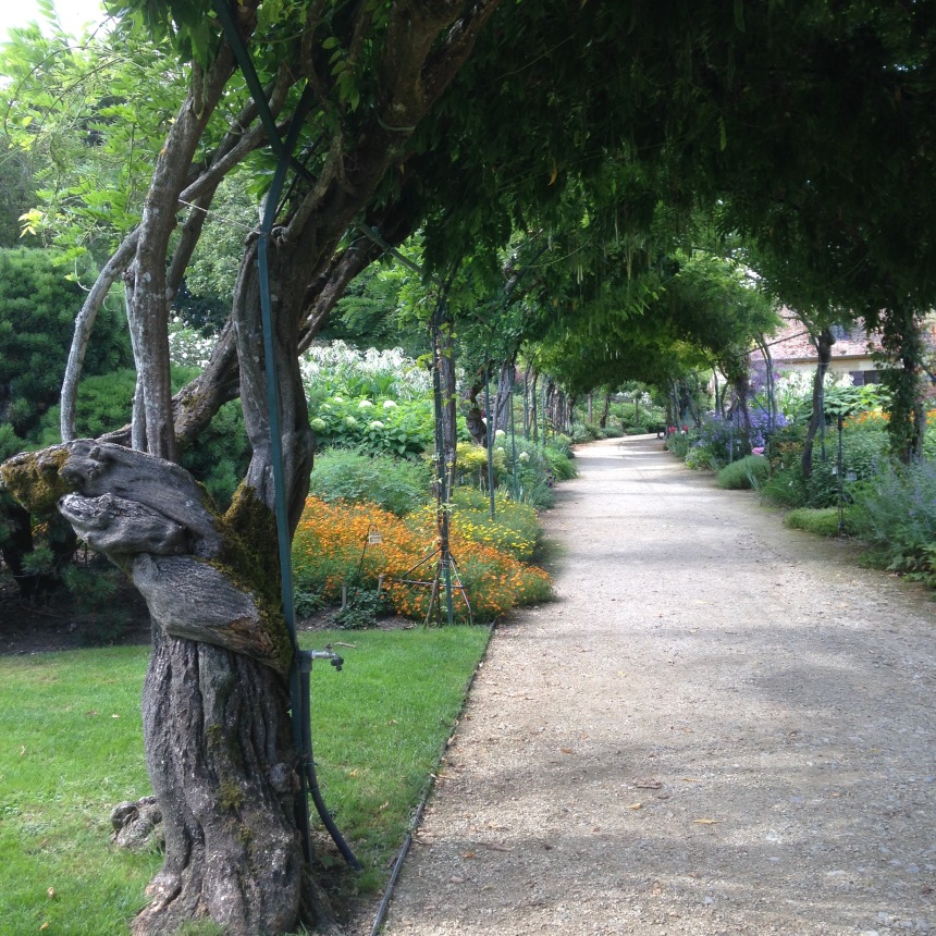 Dansmabesace - Slowlife - Parc floral Apremont sur allier - Glycines